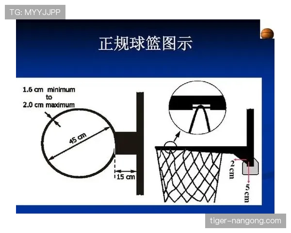 比赛用球的规格与裁判规则详解及场上认可标准