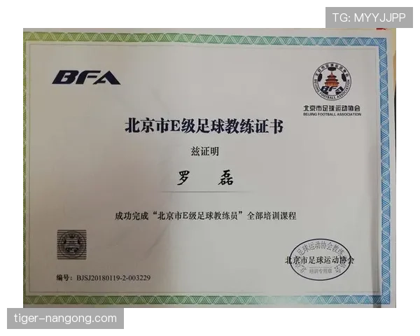 裁判尺度在足球判罚中的关键影响及执行标准详解