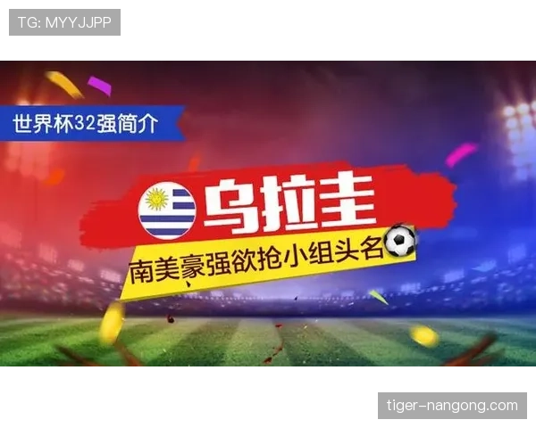 乌拉圭世界杯主力阵容解析攻防特点分析