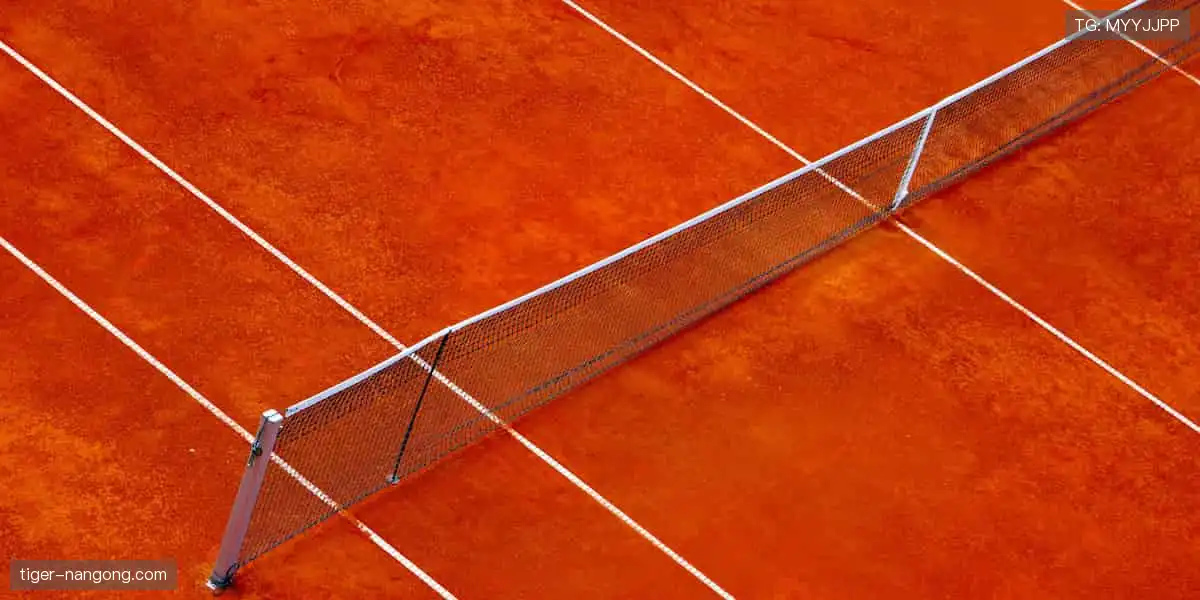 球迷专属装备库，限量潮品一键收藏！🎁